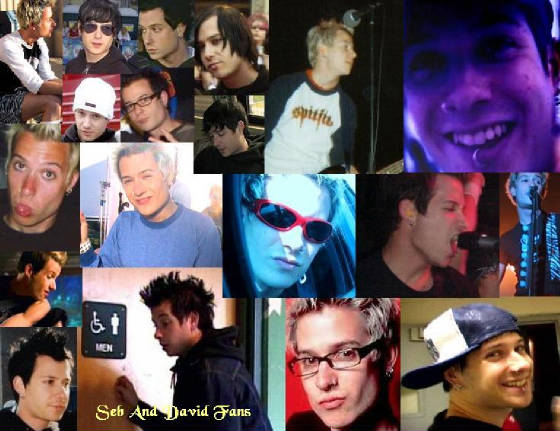 davidwallpaper5.jpg