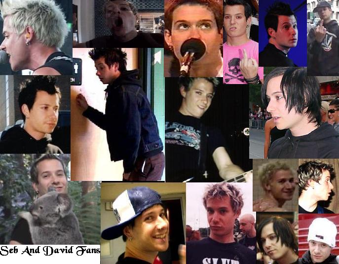 davidwallpaper3.jpg